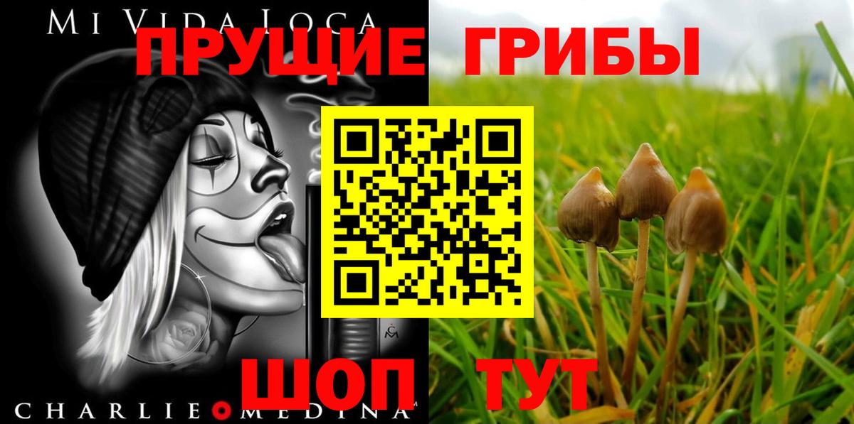 Галлюциногенные грибы MAGIC MUSHROOMS  что такое наркотик  Елизово  Вход с VPN 