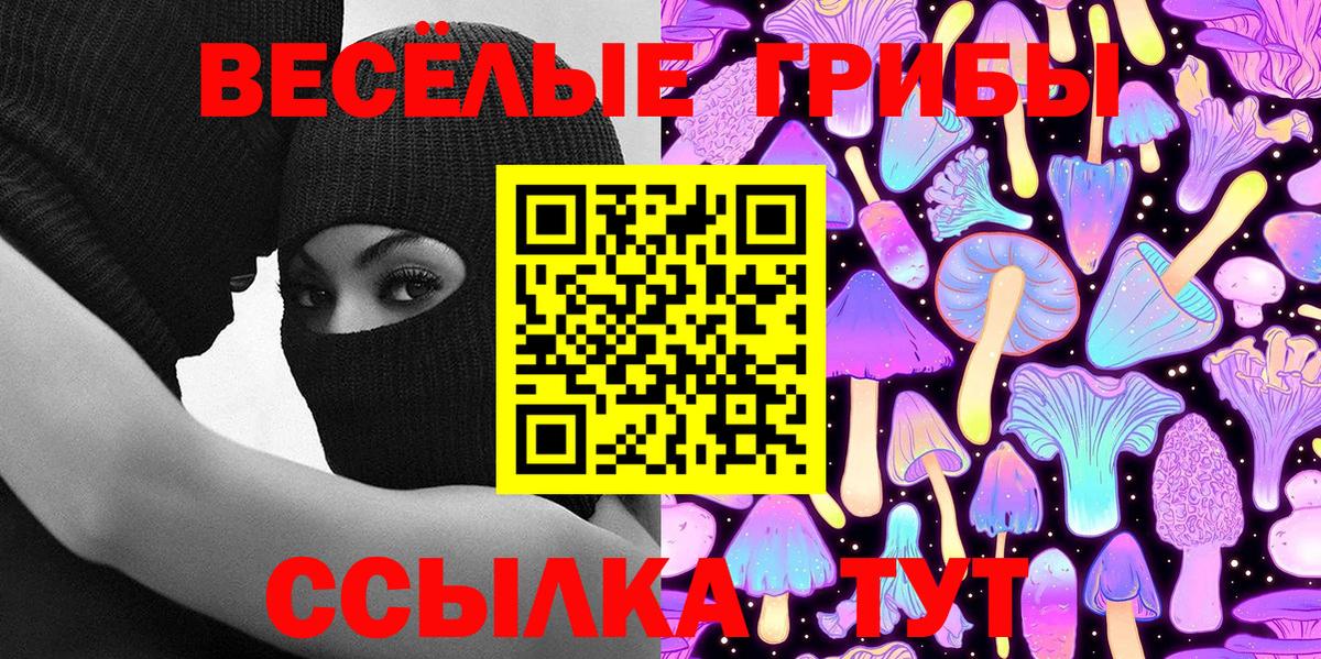 Псилоцибиновые грибы Psilocybine cubensis Елизово